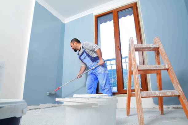 Best Mold Documentation for Insurance Claims  in Westwego, LA