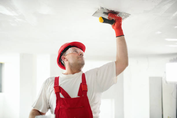 Best Residential Mold Inspection & Testing  in Westwego, LA